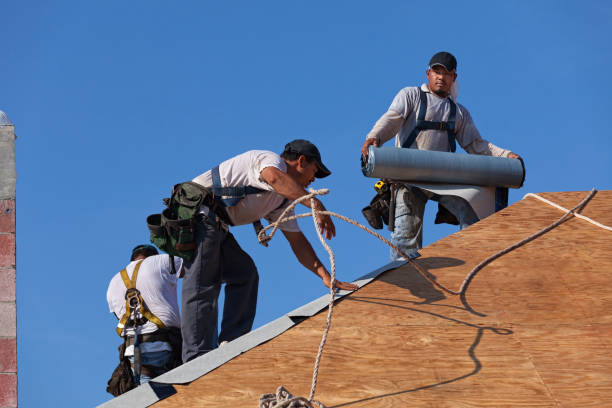 Best Flat Roof Repair Services  in Castle Rock, CO