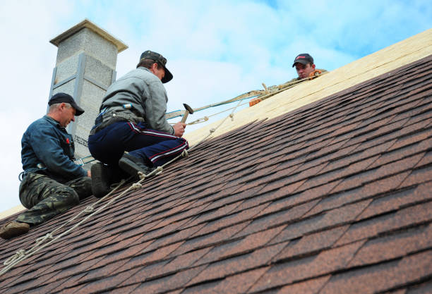 Best Residential Roofing Contractor  in Castle Rock, CO